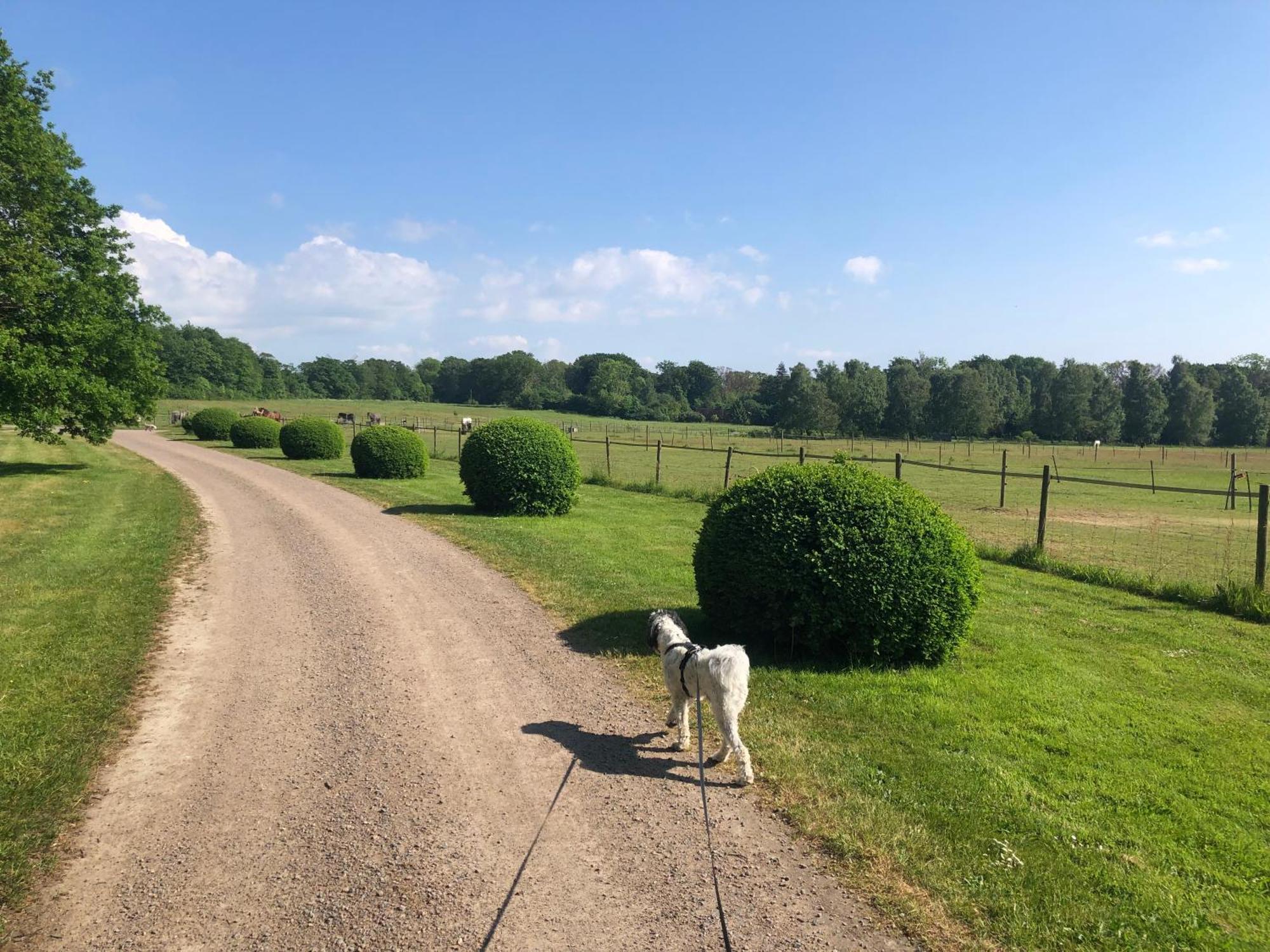 Vingårdens Bed&Breakfast Helsingborg Eksteriør bilde