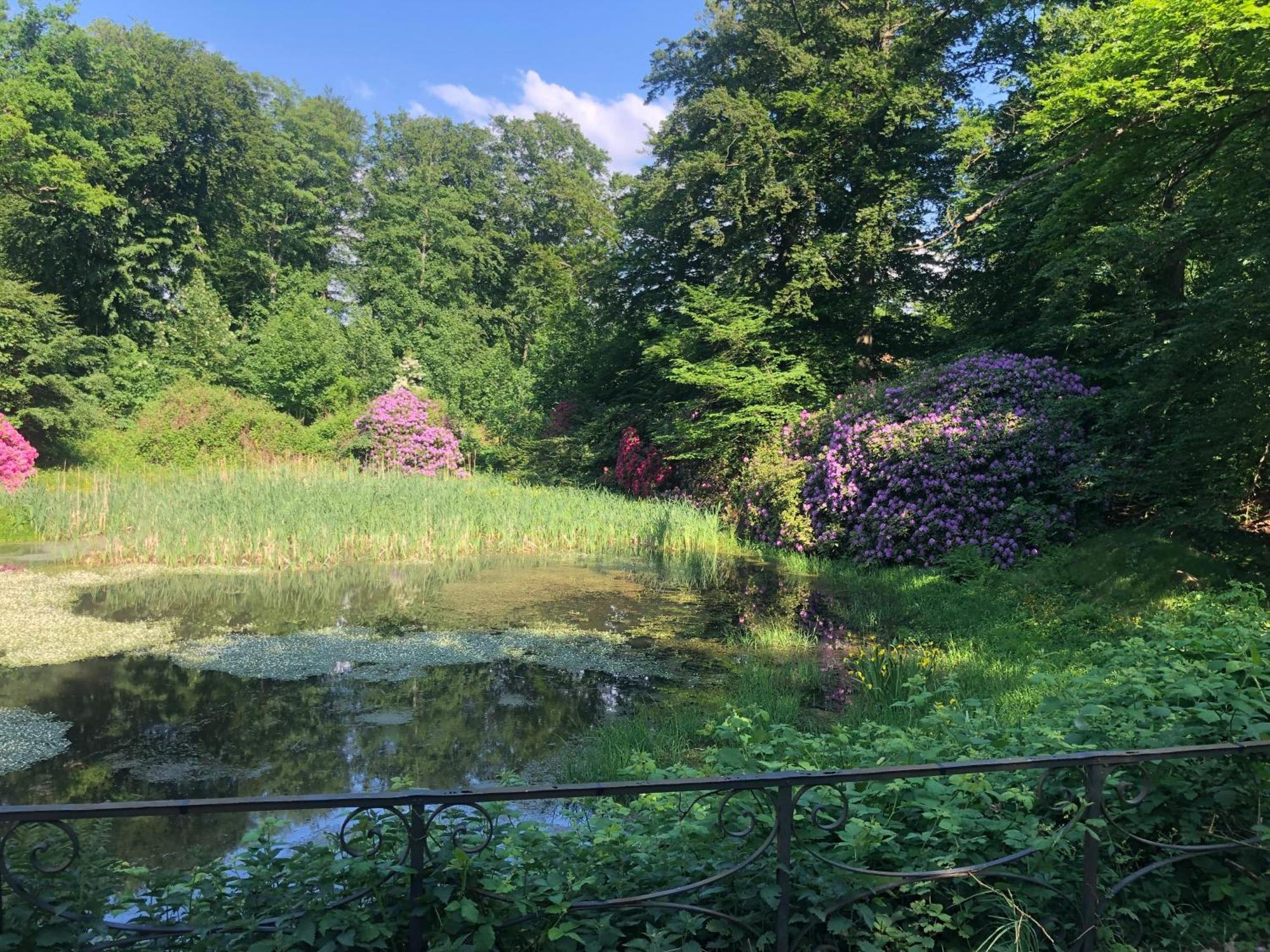 Vingårdens Bed&Breakfast Helsingborg Eksteriør bilde