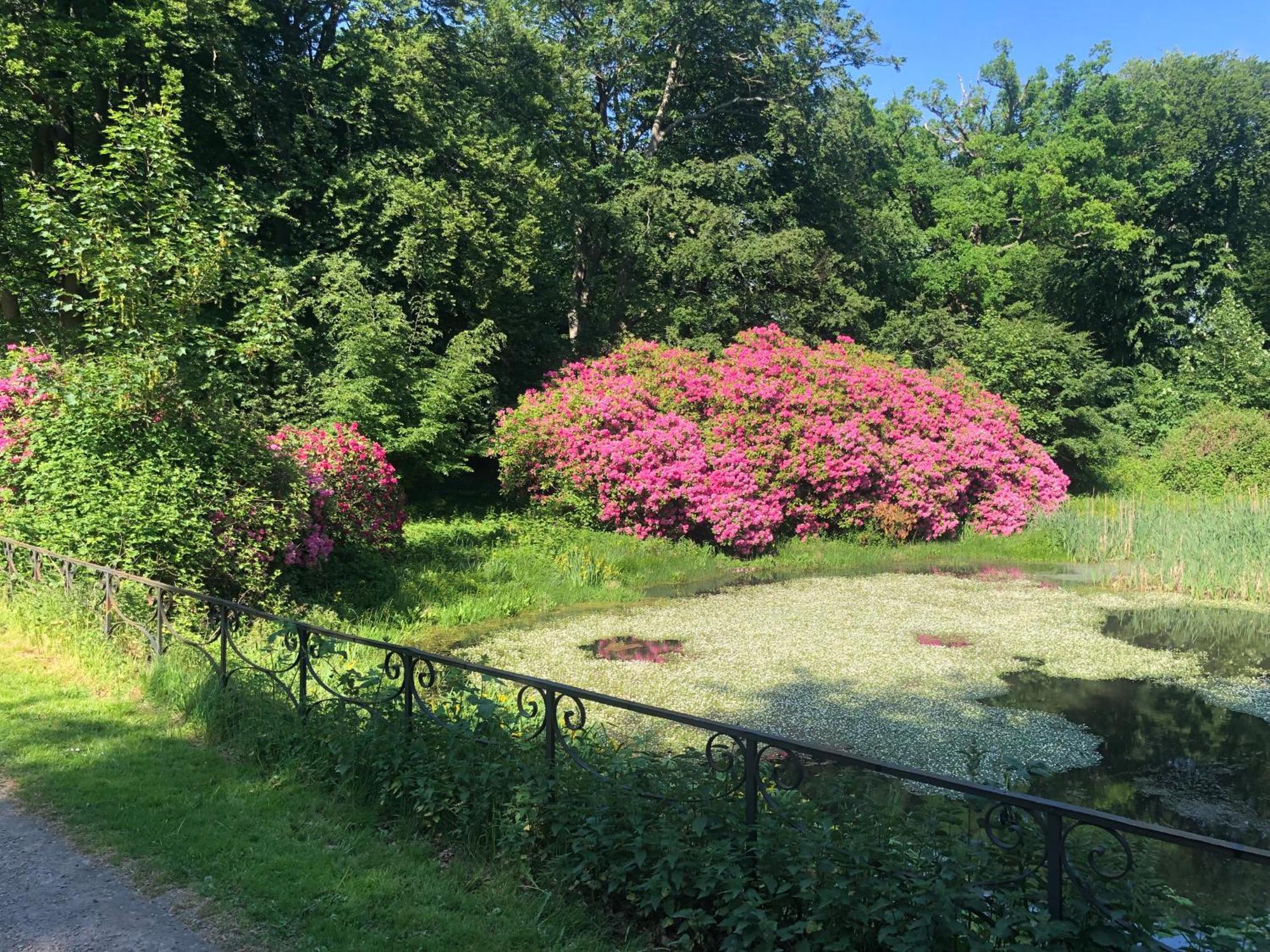 Vingårdens Bed&Breakfast Helsingborg Eksteriør bilde