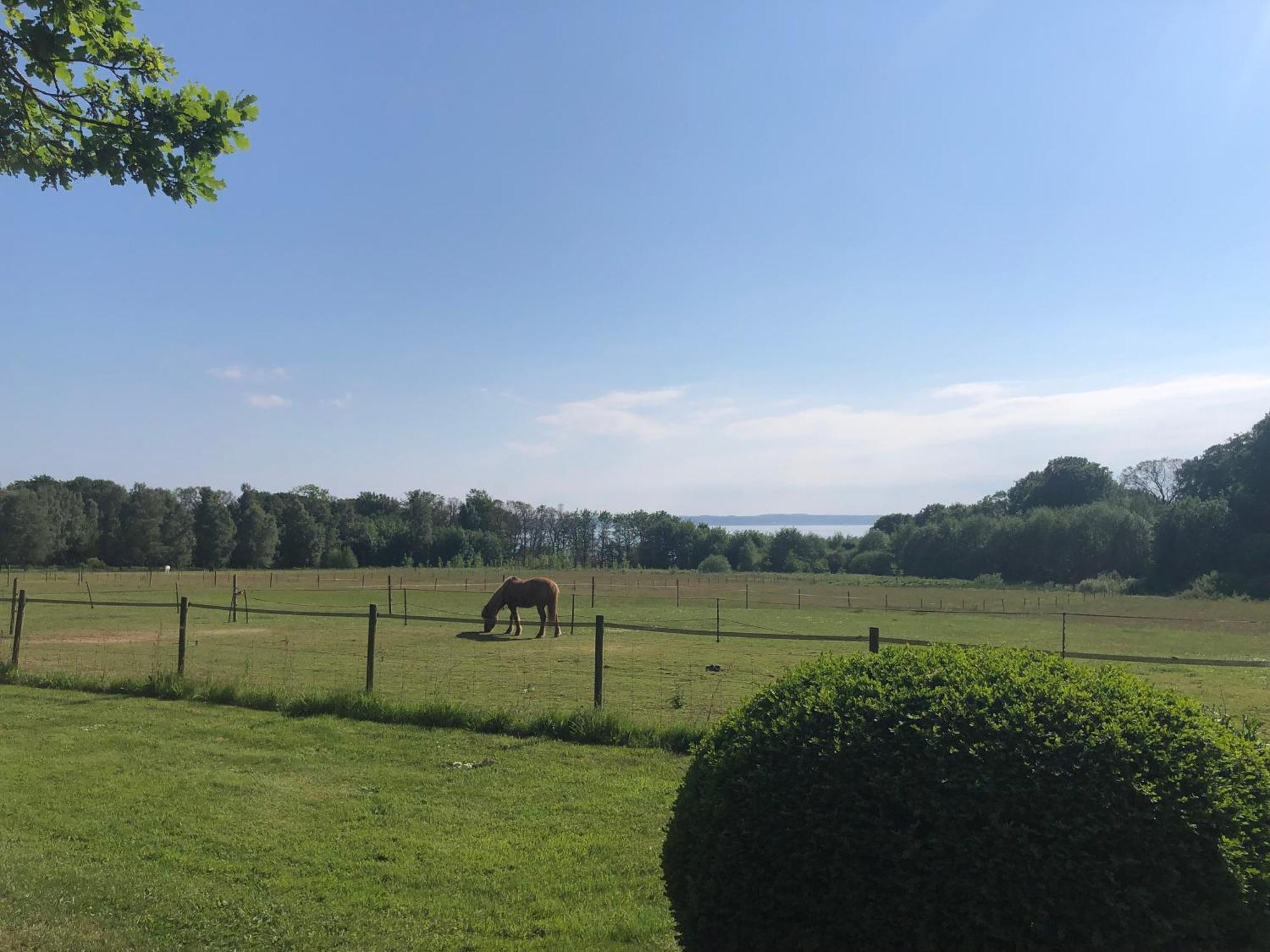 Vingårdens Bed&Breakfast Helsingborg Eksteriør bilde