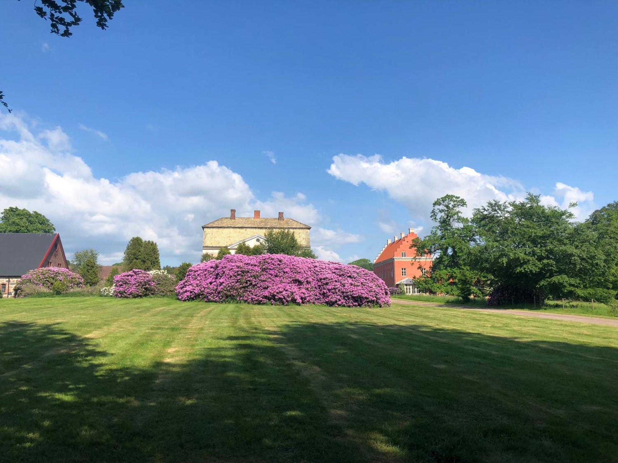 Vingårdens Bed&Breakfast Helsingborg Eksteriør bilde